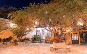 Hotel Casa del Arbol